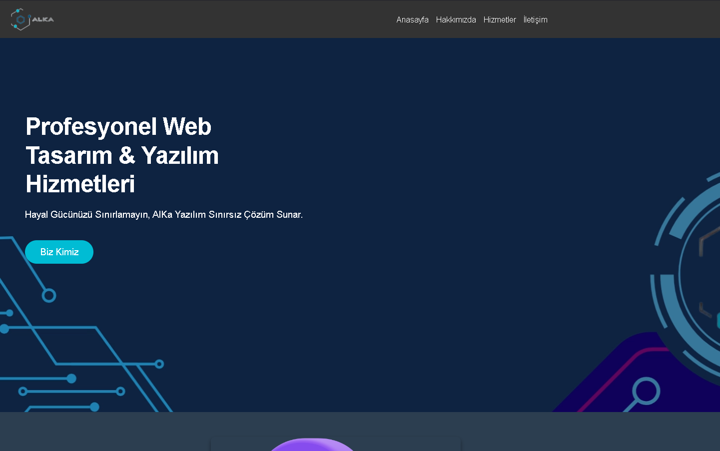 ALKA Bilişim Projesi
